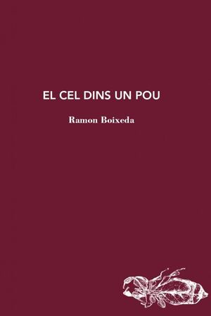 EL CEL DINS UN POU