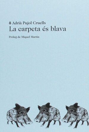 LA CARPETA ÉS BLAVA